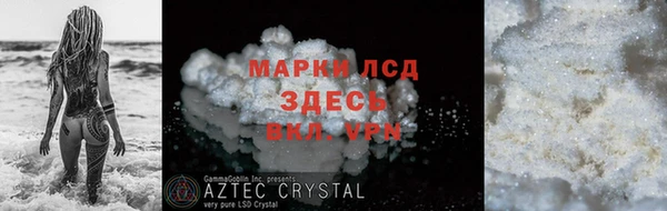 индика Михайловск