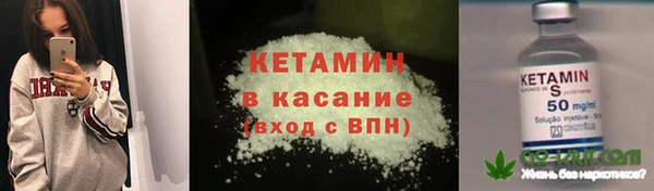 индика Михайловск