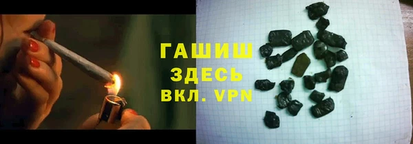 индика Михайловск
