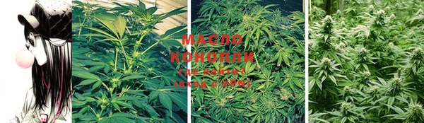 индика Михайловск