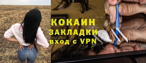 индика Михайловск