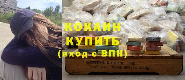 индика Михайловск