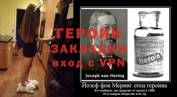индика Михайловск