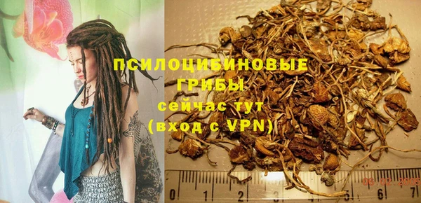 spice Михайловка
