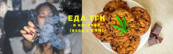 индика Михайловск