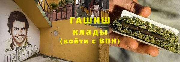 индика Михайловск