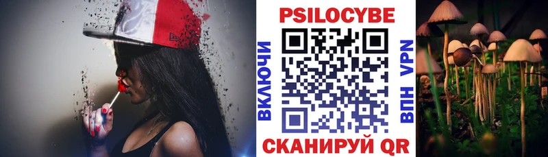Псилоцибиновые грибы Psilocybe продажа наркотиков Княгинино